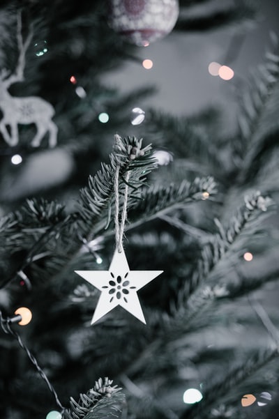 星圣诞装饰品挂在圣诞树上
